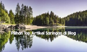 Pilihan Top Artikel Saringan di Blog