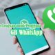Panduan Lengkap untuk Pengguna GB WhatsApp
