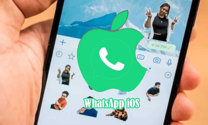 aplikasi whatsapp ios