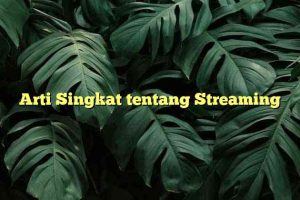 Arti Singkat tentang Streaming