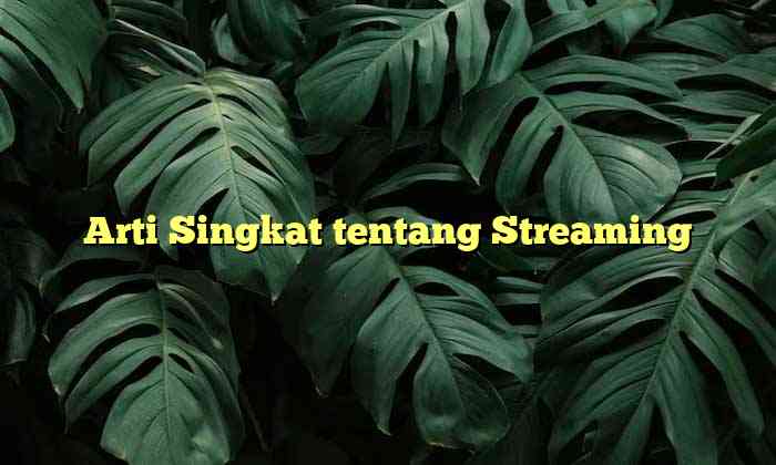 Arti Singkat tentang Streaming