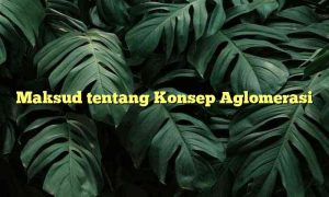 Maksud tentang Konsep Aglomerasi