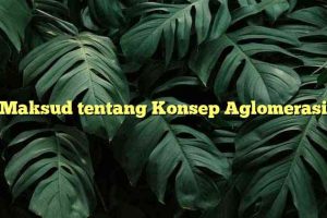 Maksud tentang Konsep Aglomerasi