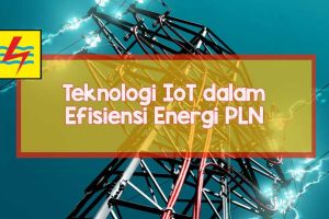 pln